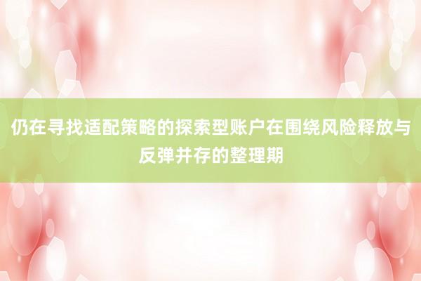 仍在寻找适配策略的探索型账户在围绕风险释放与反弹并存的整理期