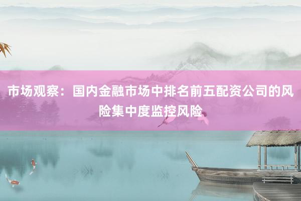 市场观察：国内金融市场中排名前五配资公司的风险集中度监控风险