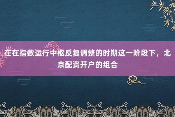 在在指数运行中枢反复调整的时期这一阶段下，北京配资开户的组合
