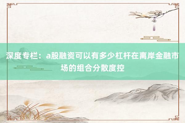 深度专栏：a股融资可以有多少杠杆在离岸金融市场的组合分散度控