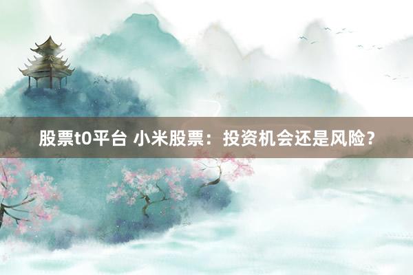 股票t0平台 小米股票：投资机会还是风险？