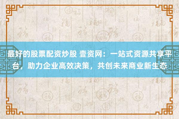 最好的股票配资炒股 壹资网：一站式资源共享平台，助力企业高效决策，共创未来商业新生态