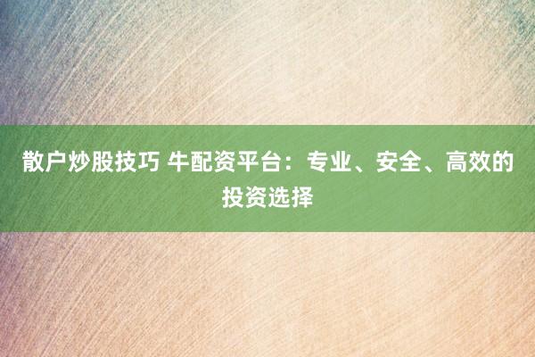 散户炒股技巧 牛配资平台:专业、安全、高效的投资选择