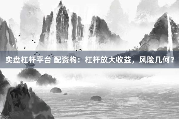 实盘杠杆平台 配资构：杠杆放大收益，风险几何？