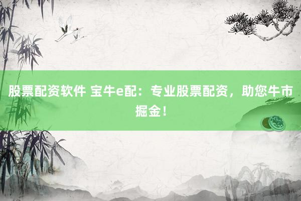 股票配资软件 宝牛e配：专业股票配资，助您牛市掘金！