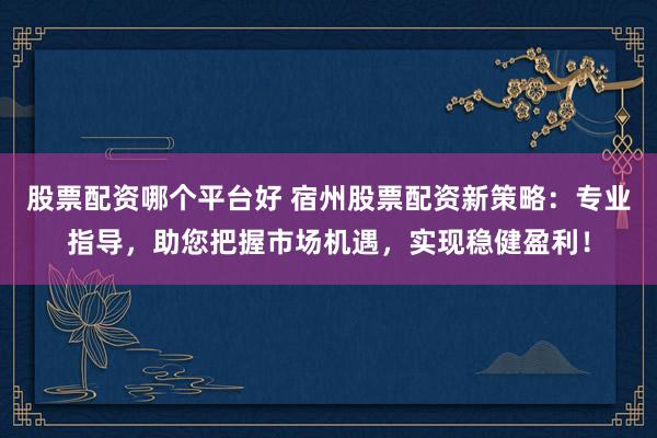股票配资哪个平台好 宿州股票配资新策略：专业指导，助您把握市场机遇，实现稳健盈利！