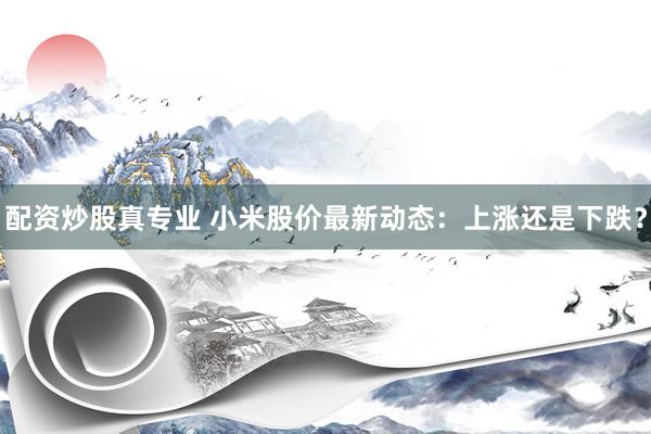 配资炒股真专业 小米股价最新动态：上涨还是下跌？