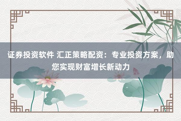 证券投资软件 汇正策略配资：专业投资方案，助您实现财富增长新动力