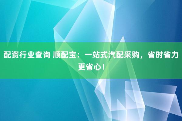 配资行业查询 顺配宝：一站式汽配采购，省时省力更省心！