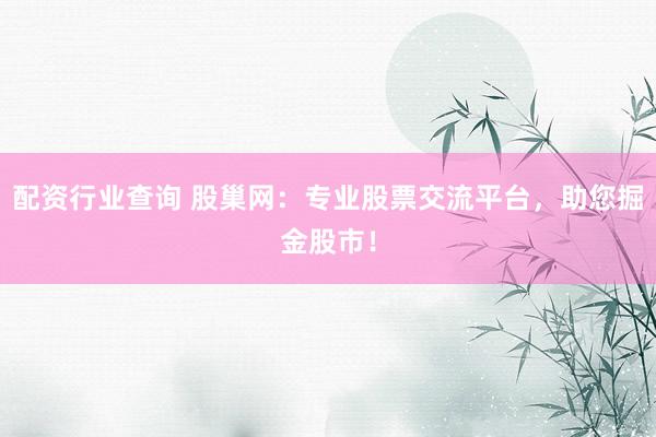 配资行业查询 股巢网：专业股票交流平台，助您掘金股市！
