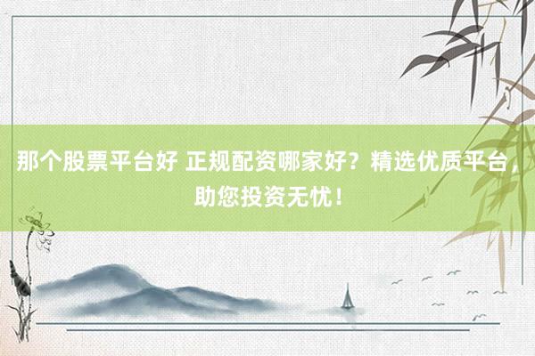 那个股票平台好 正规配资哪家好？精选优质平台，助您投资无忧！